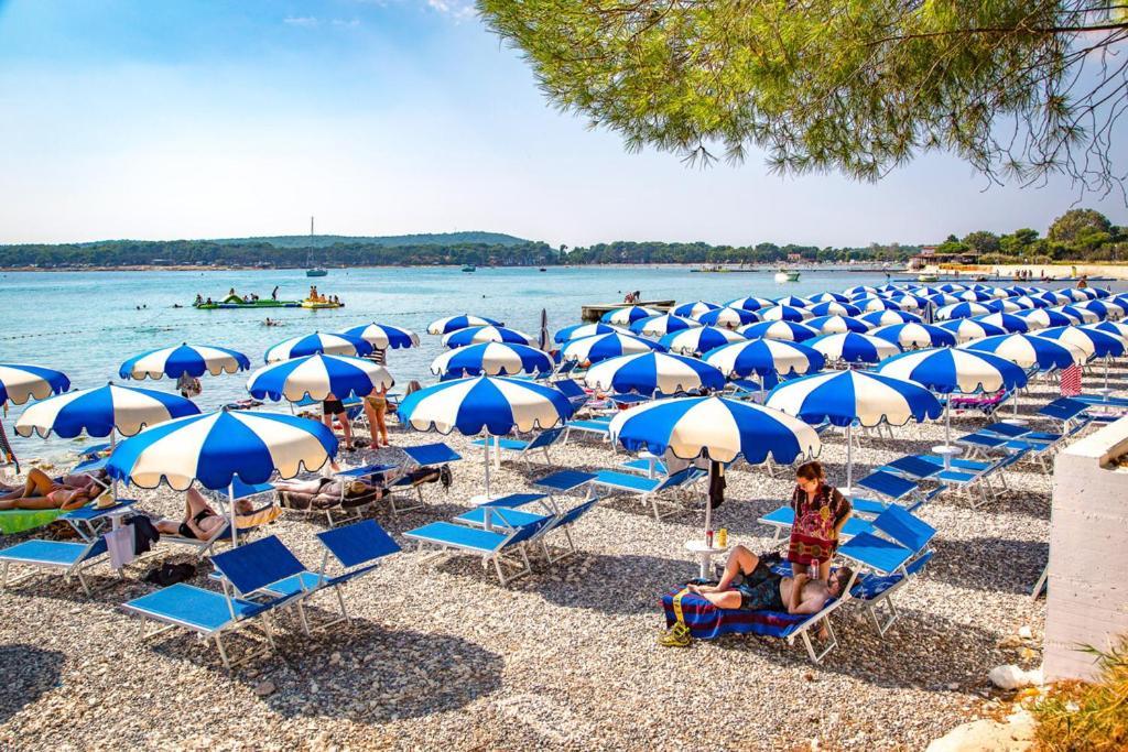 Lana Apartman Διαμέρισμα Μεντουλίν Εξωτερικό φωτογραφία
